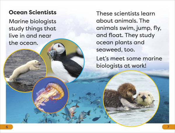 DK Super Readers Level 1 a Day the Life of Marine Biologist