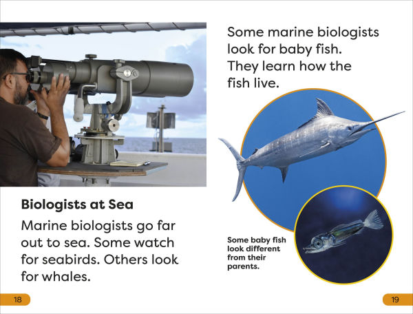 DK Super Readers Level 1 a Day the Life of Marine Biologist