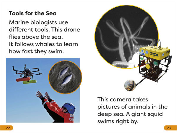 DK Super Readers Level 1 a Day the Life of Marine Biologist