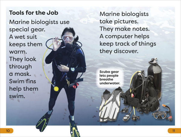 DK Super Readers Level 1 a Day the Life of Marine Biologist