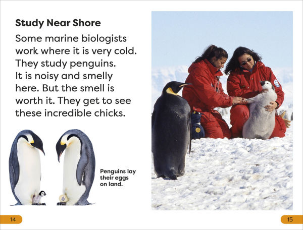 DK Super Readers Level 1 a Day the Life of Marine Biologist