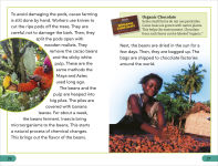 Alternative view 7 of DK Super Readers Level 3 The Story of Chocolate