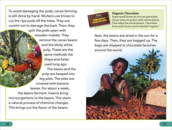 DK Super Readers Level 3 The Story of Chocolate