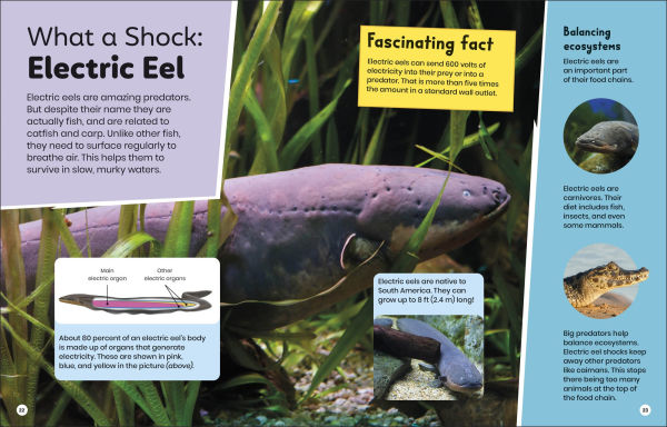 DK Super Planet Whoâ?Ts Eating Who?