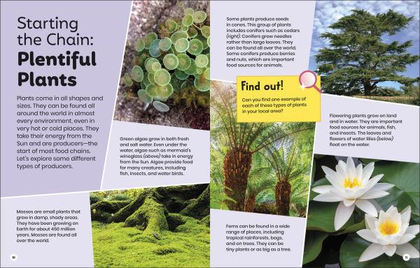 DK Super Planet Whoâ?Ts Eating Who?