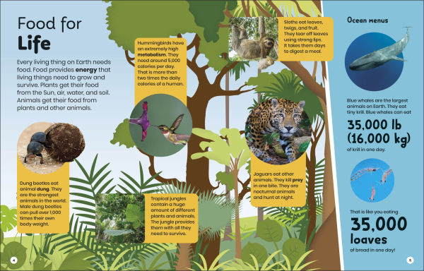 DK Super Planet Whoâ?Ts Eating Who?