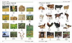 Alternative view 2 of Korean - English Bilingual Visual Dictionary