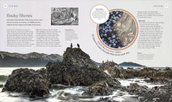 Alternative view 12 of The Ocean Book: The Stories, Science, and History of Oceans