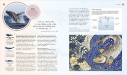 Alternative view 16 of The Ocean Book: The Stories, Science, and History of Oceans
