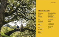Alternative view 3 of We Love You: An Optimistic Guide to Life on a Rock Floating Through Space