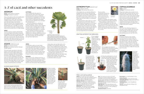 Propagating Plants: How to Grow Plants for Free