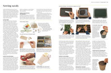 Alternative view 5 of Propagating Plants: How to Grow Plants for Free