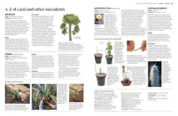 Propagating Plants: How to Grow Plants for Free