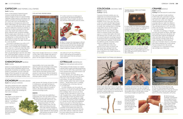 Propagating Plants: How to Grow Plants for Free
