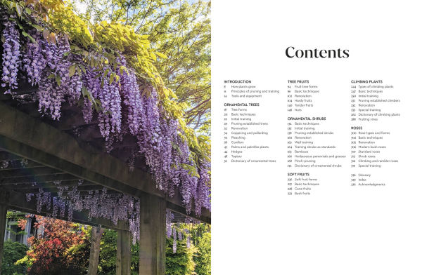 Pruning and Training: What, When, How to Prune
