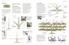 Alternative view 12 of Pruning and Training: What, When, and How to Prune