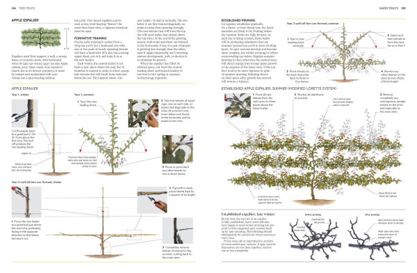 Pruning and Training: What, When, How to Prune