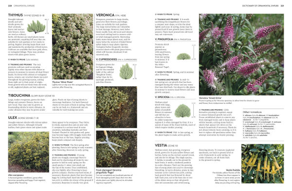 Pruning and Training: What, When, How to Prune