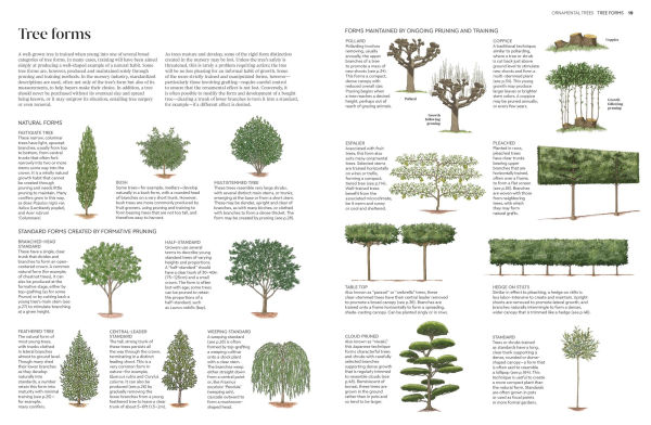 Pruning and Training: What, When, How to Prune