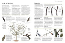 Alternative view 15 of Pruning and Training: What, When, and How to Prune
