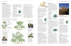 Alternative view 2 of Pruning and Training: What, When, and How to Prune