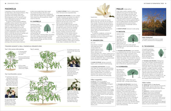 Pruning and Training: What, When, How to Prune