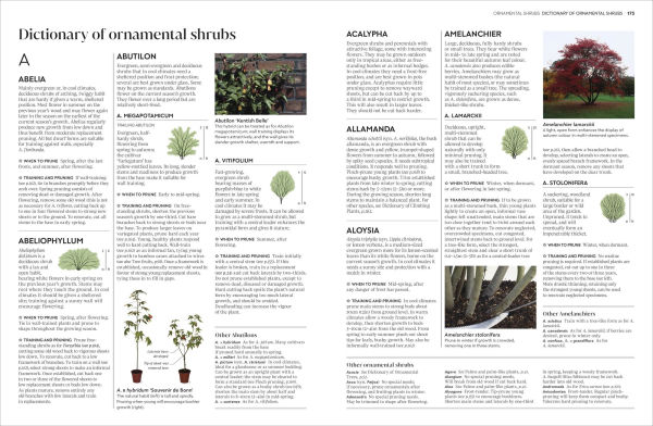 Pruning and Training: What, When, How to Prune