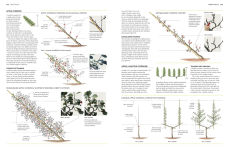 Alternative view 4 of Pruning and Training: What, When, and How to Prune