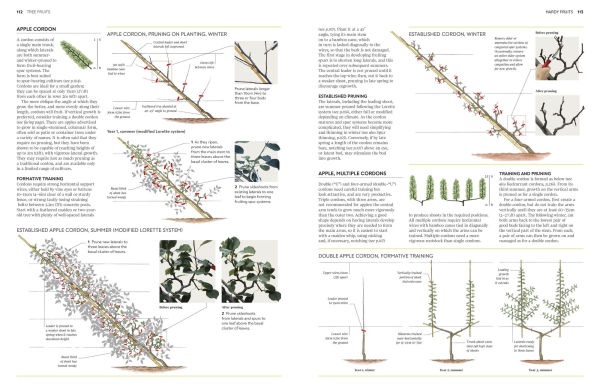 Pruning and Training: What, When, How to Prune
