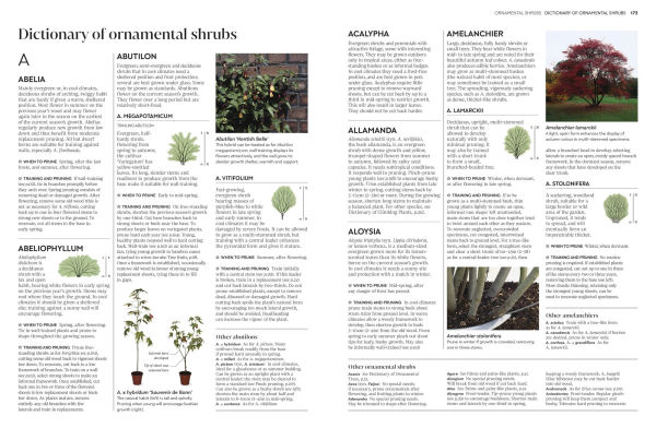 Pruning and Training: What, When, How to Prune