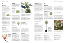 Alternative view 6 of Pruning and Training: What, When, and How to Prune