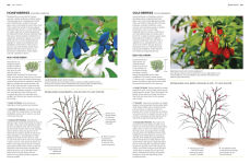 Alternative view 7 of Pruning and Training: What, When, and How to Prune