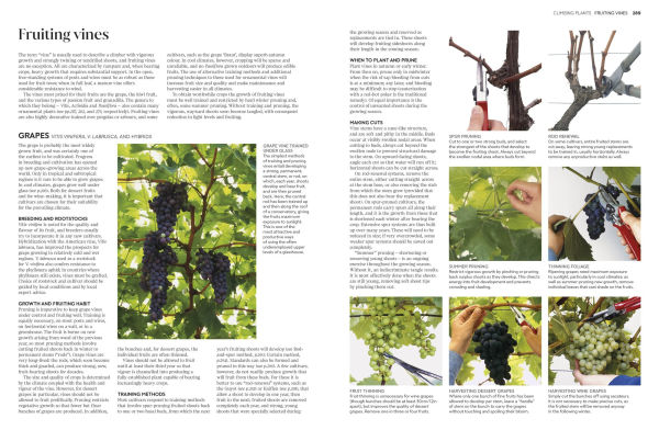 Pruning and Training: What, When, How to Prune
