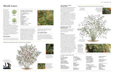 Alternative view 9 of Pruning and Training: What, When, and How to Prune