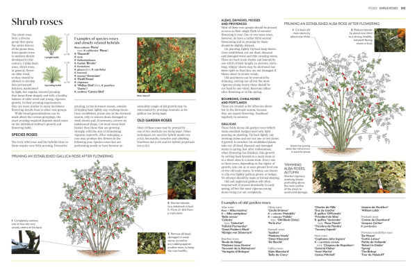 Pruning and Training: What, When, How to Prune