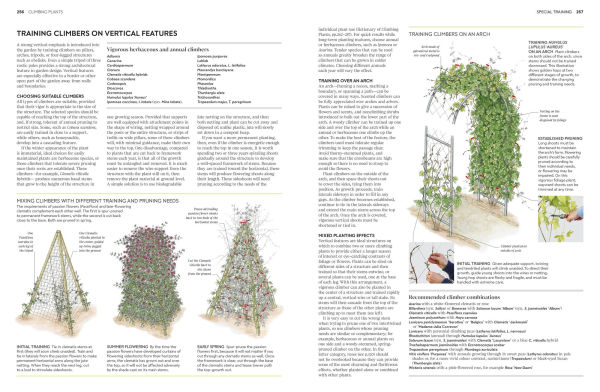 Pruning and Training: What, When, How to Prune