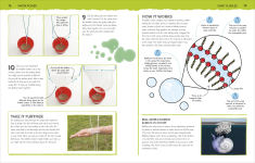 Alternative view 10 of Outdoor Activity Lab 2nd Edition