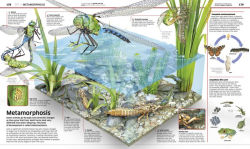Alternative view 4 of Science!, 2nd Edition