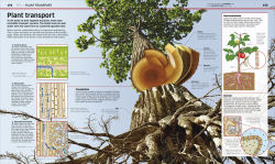 Alternative view 7 of Science!, 2nd Edition