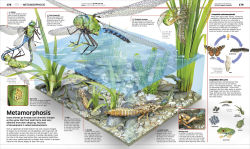 Alternative view 8 of Science!, 2nd Edition