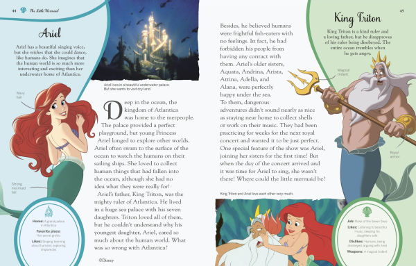 Disney Princess Enchanted Character Guide