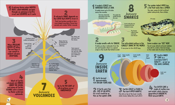 5 Facts A Day Science: Little Bit of Learning Every