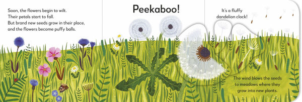 Pop-Up Peekaboo! Flower