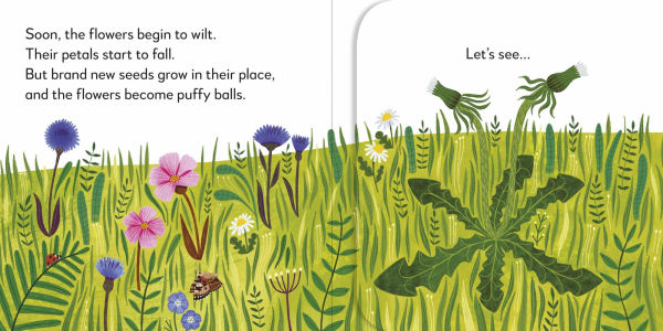 Pop-Up Peekaboo! Flower