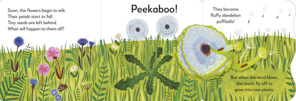 Pop-Up Peekaboo! Flower