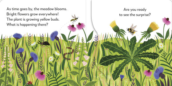 Pop-Up Peekaboo! Flower