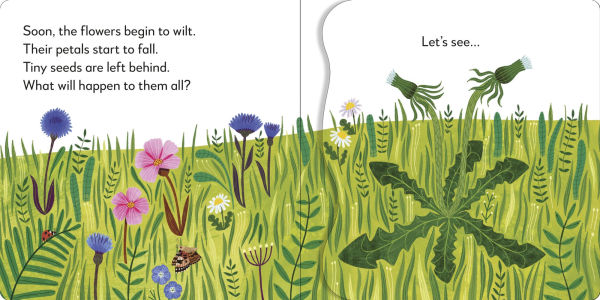 Pop-Up Peekaboo! Flower