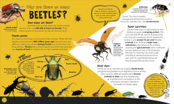 Alternative view 2 of Things Scientists Don't Know Yet: The Unsolved Mysteries of Science