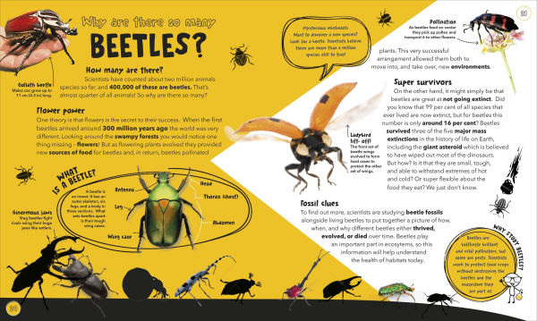 Things Scientists Don't Know Yet: The Unsolved Mysteries of Science