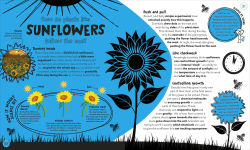 Alternative view 5 of Things Scientists Don't Know Yet: The Unsolved Mysteries of Science